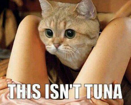 met my sister on a dating site chapter 6 15