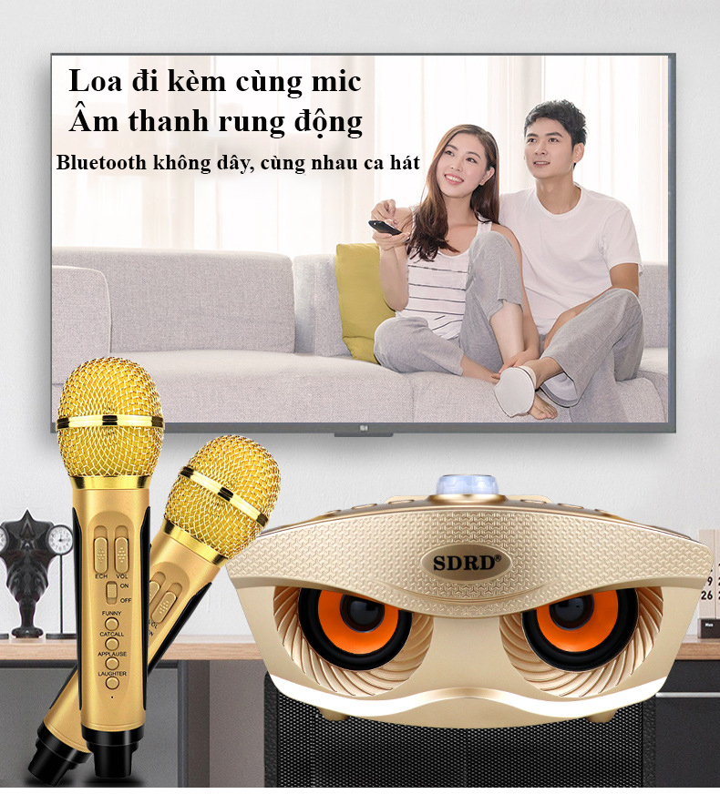 Loa bluetooth karaoke SD306 Loa thông minh không dây 2 micro cùng nhau hát bluetooth 4.1