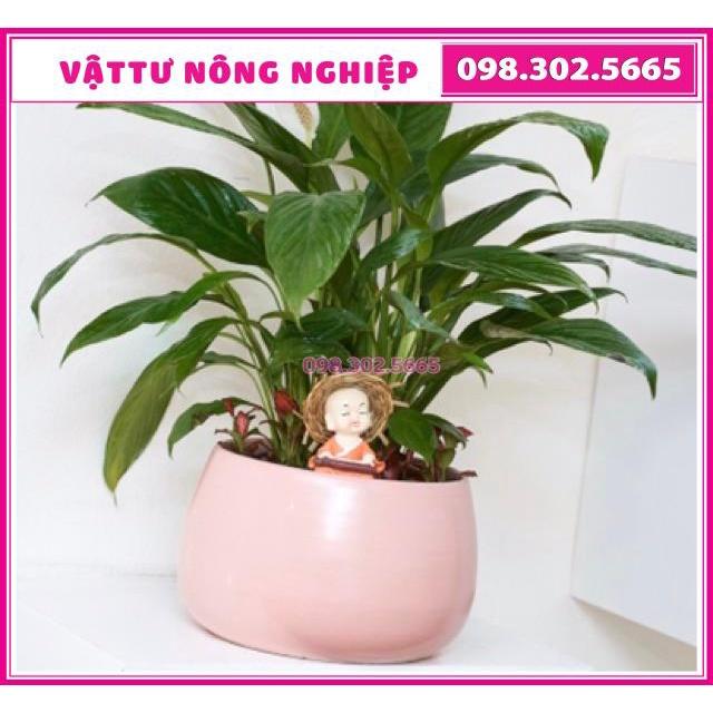 Combo 2 chậu sứ men mát cao cấp trồng cây