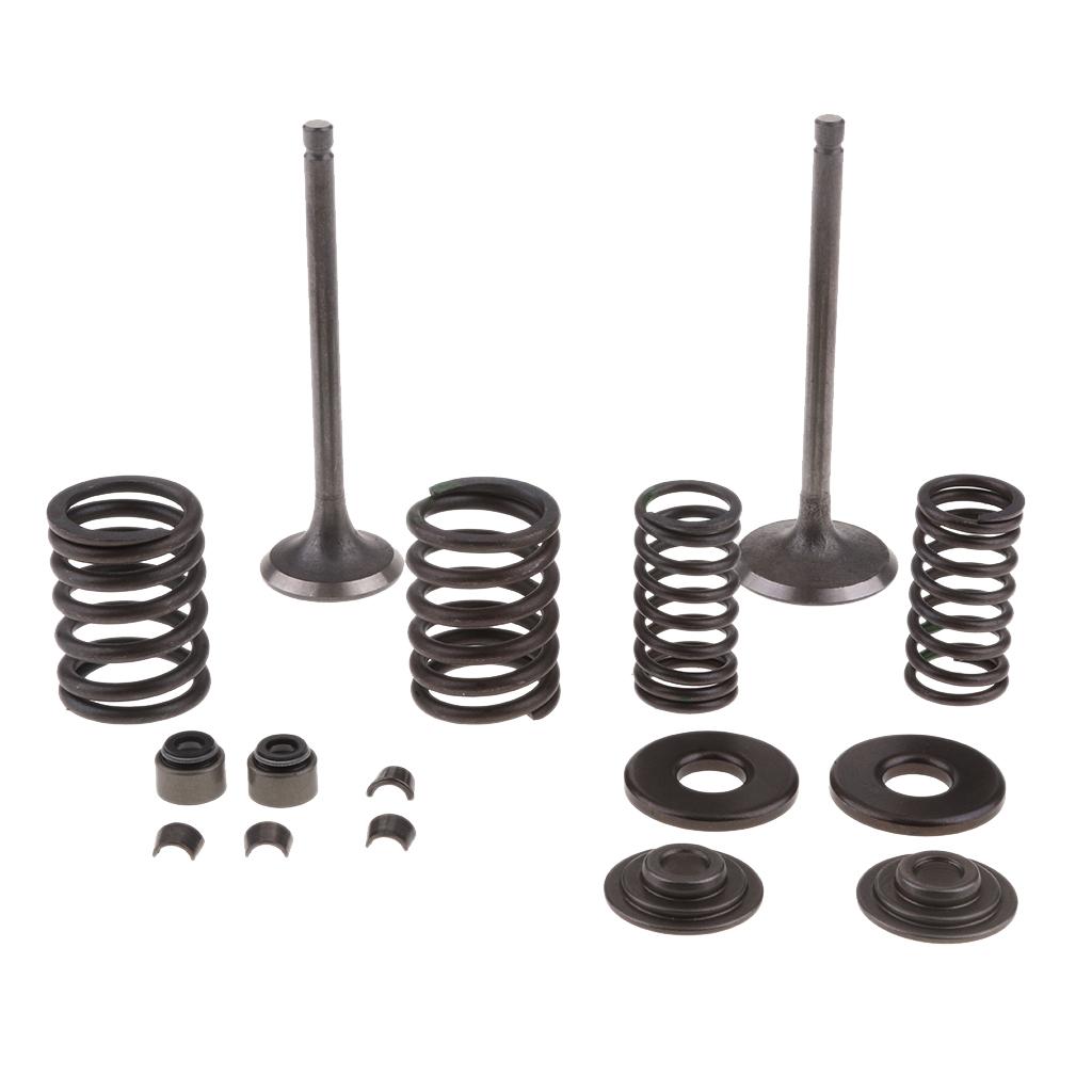 250cc Engine Intake Exhaust Valve Assembly Kit for Scooter ATV CF250