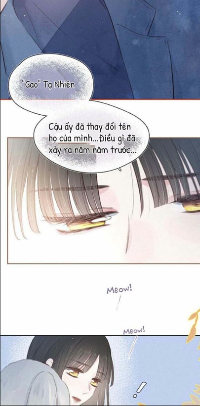 nỗi buồn của hoa cẩm tú cầu chapter 16 12