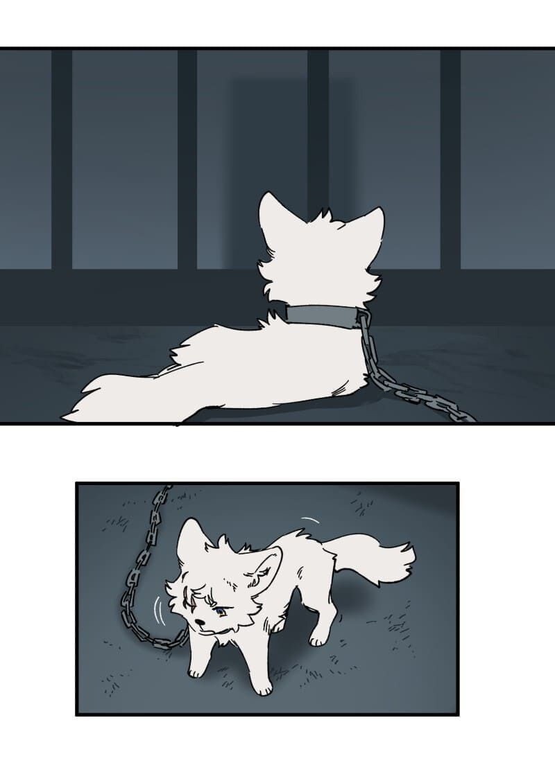 lumine - cội nguồn ánh sáng chapter 139 29