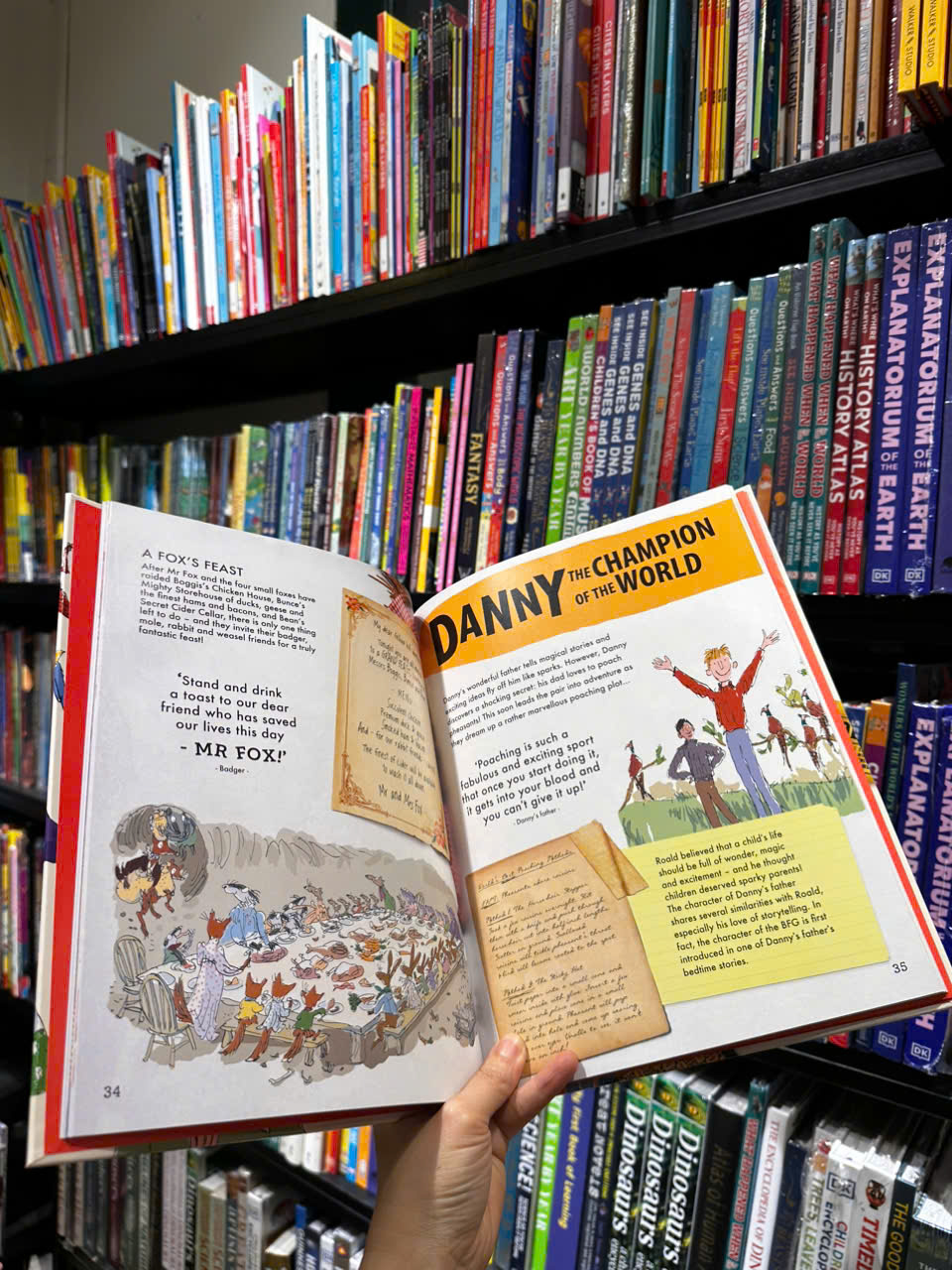 Sách - The Gloriumptious Worlds of Roald Dahl by Stella Caldwell - Sách ngoại văn, sách thiếu nhi tiếng Anh, bìa cứng