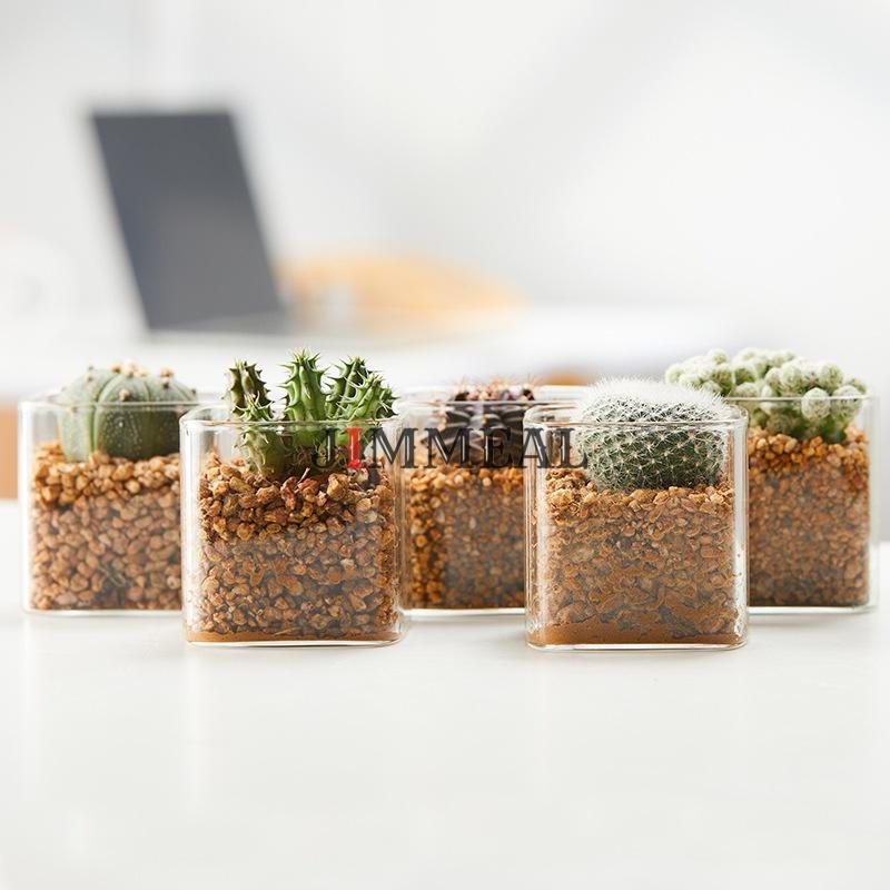 Chậu Thủy Tinh Trồng Cây, Lọ Thủy Tinh Vuông Trồng Cây Jimmeal Trong Suốt, Cắm Hoa Để Bàn, Decor Nội Thất Đa Năng