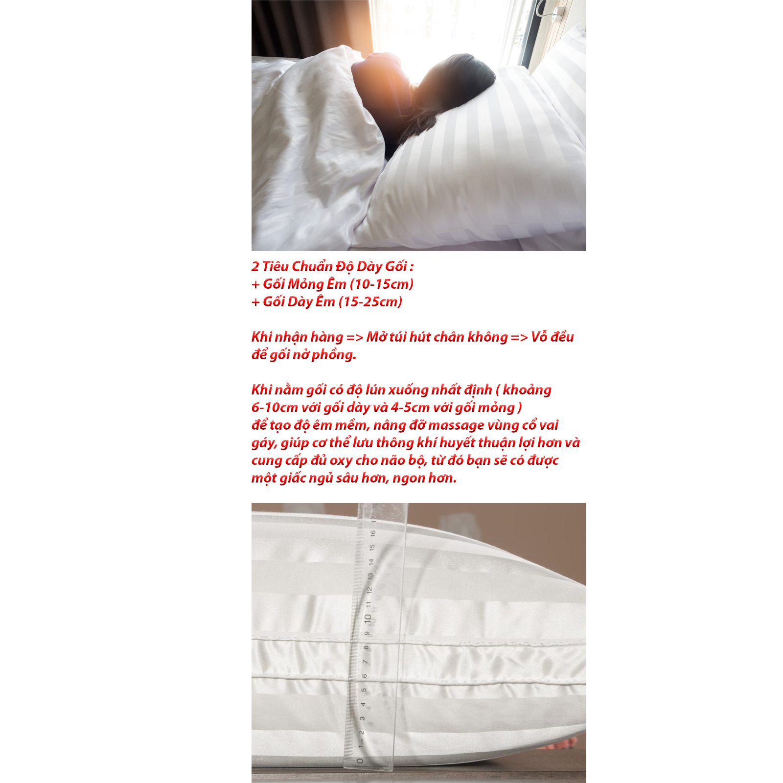 Ruột Gối Nằm Khách Sạn DADA
- Gòn Polyester Nâng Đỡ Vai Gáy