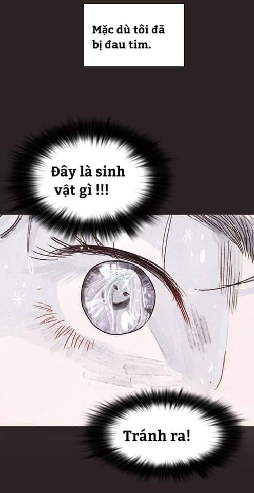 thần bí chapter 1 66