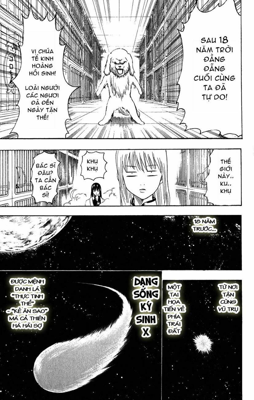 gintama - linh hồn bạc chapter 207 15