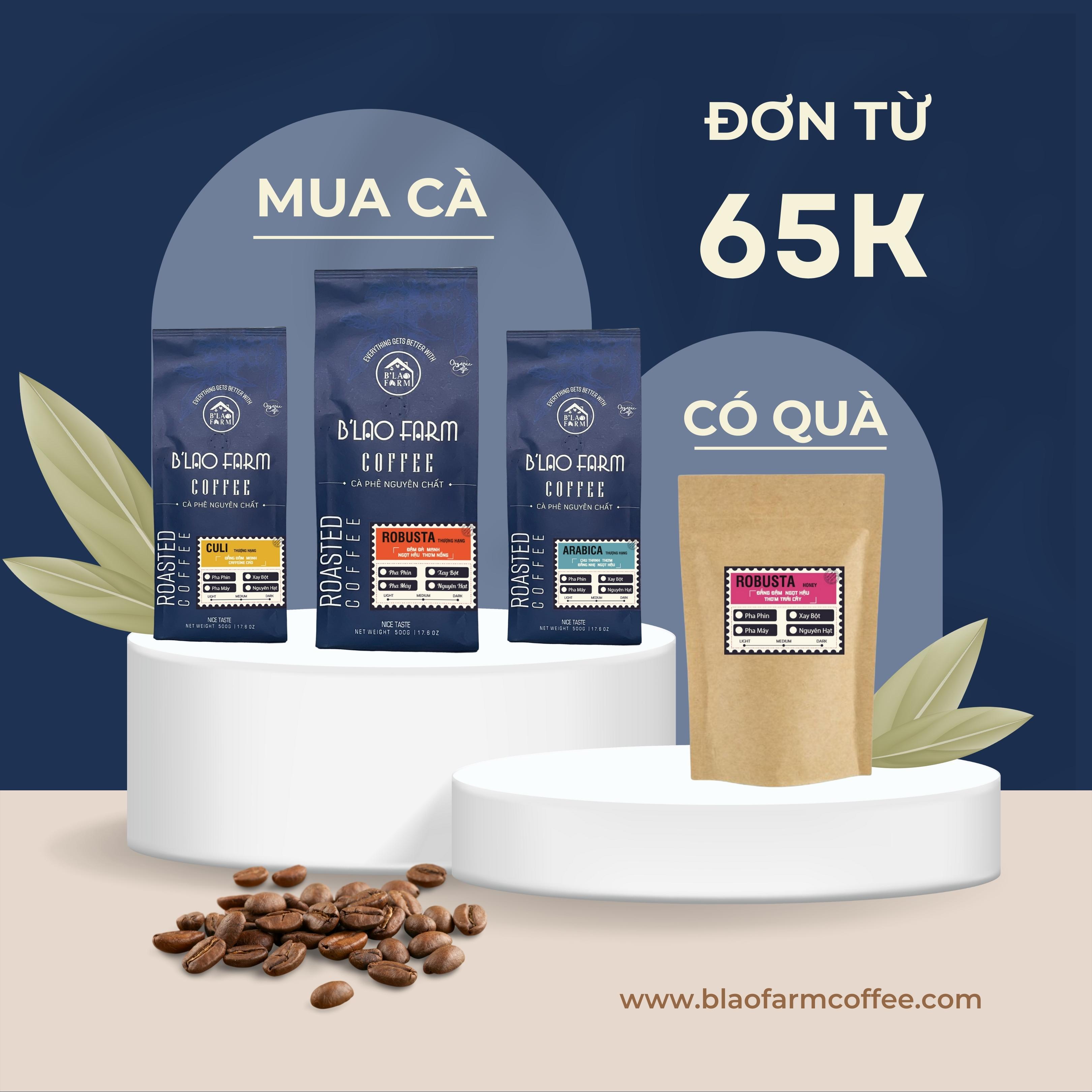 Cà phê nguyên chất BLEND B’Lao Farm 50% cà phê Robusta 50% cà phê Arabica cà phê rang mộc pha phin pha máy ngọt hậu C55