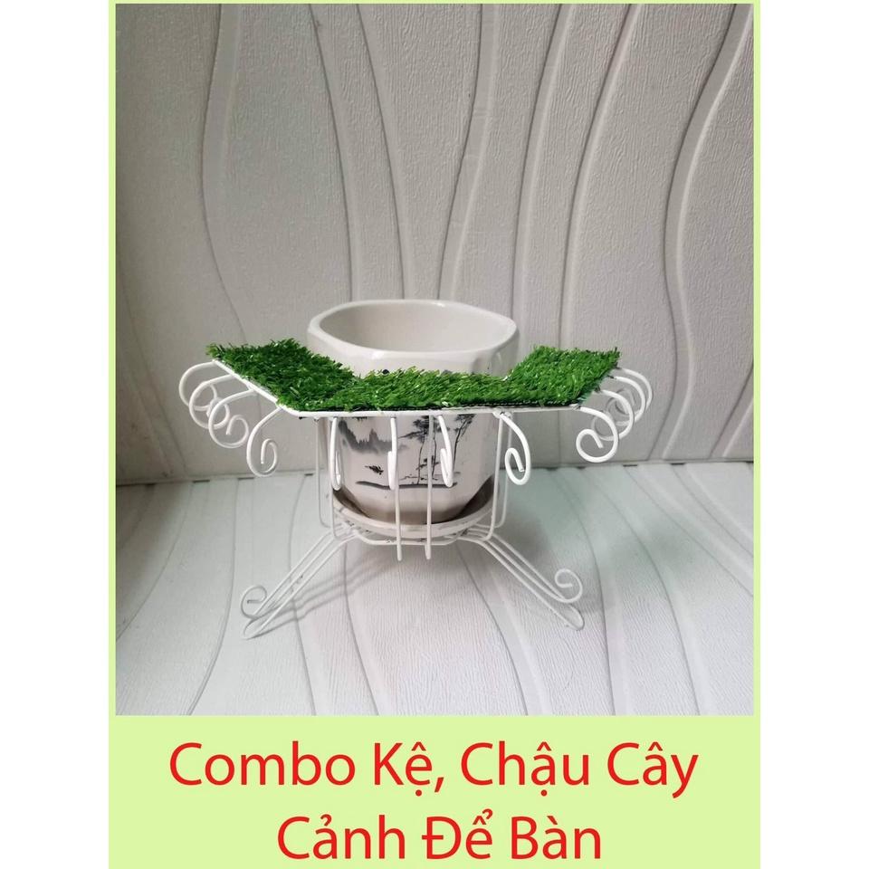 COMBO KỆ, CHẬU CÂY CẢNH TRÊN BÀN