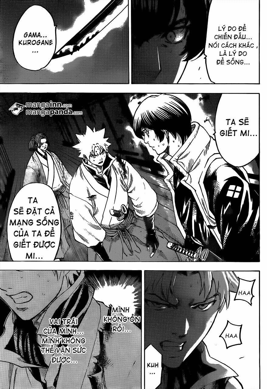 gamaran chapter 174 8