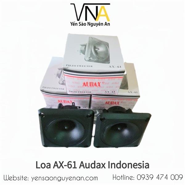 Loa AX61 Audax Indonesia (thùng 144c)