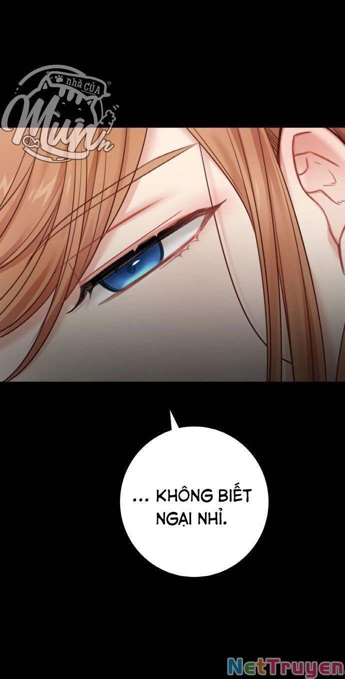 nhật ký tuần trăng mật của phù thủy và rồng chapter 52.3 9