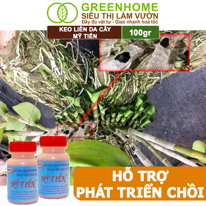 Keo Liền Sẹo Cho Cây Greenhome, Mỹ Tiến, Chai 100gr, Liền Nhanh Vết Cắt Da Cây, Chiết Cành, Tạo Dáng Bonsai, Lan, Kiểng