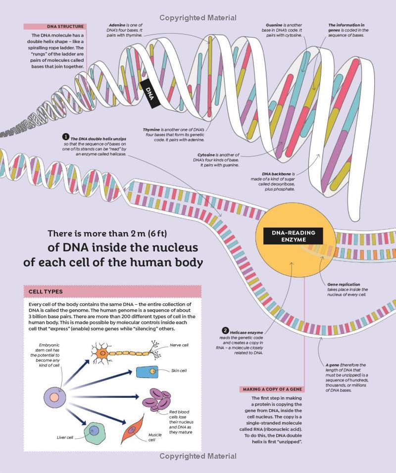 Sách ngoại văn: How Everything Works - From Brain Cells To Black Holes