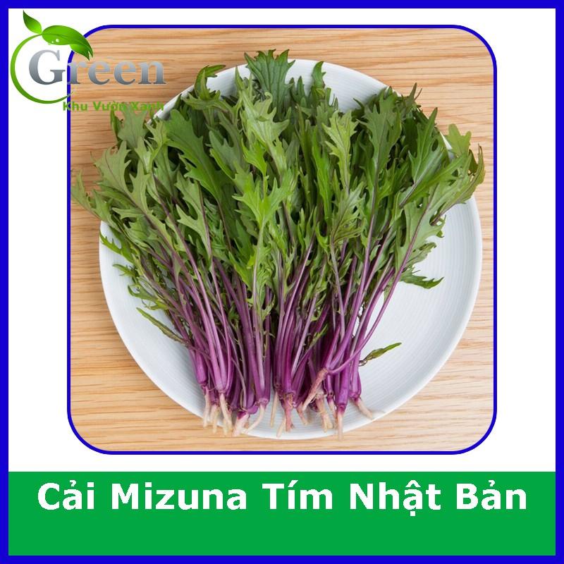 Hạt Giống Cải Mizuna Tím Nhật Bản