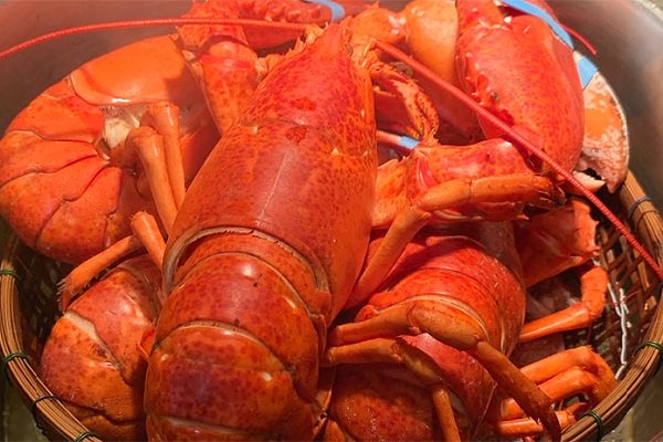 ] - Tôm hùm hấp bia sả