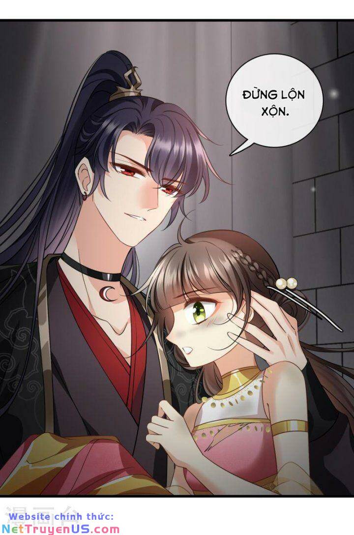 nụ cười của nàng liền ngọt đảo ta tám viên nha chapter 56 5