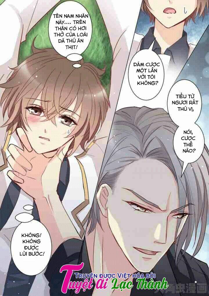 the stars are not luminous body chapter 27 7