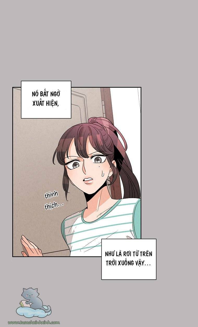 chào nhé, không làm thông gia nữa đâu! chapter 3 31