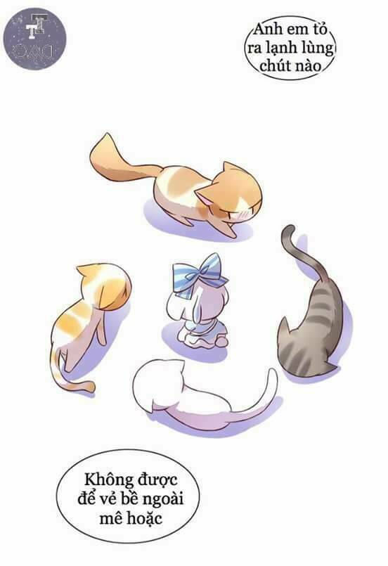dưới móng vuốt mèo chapter 5 19