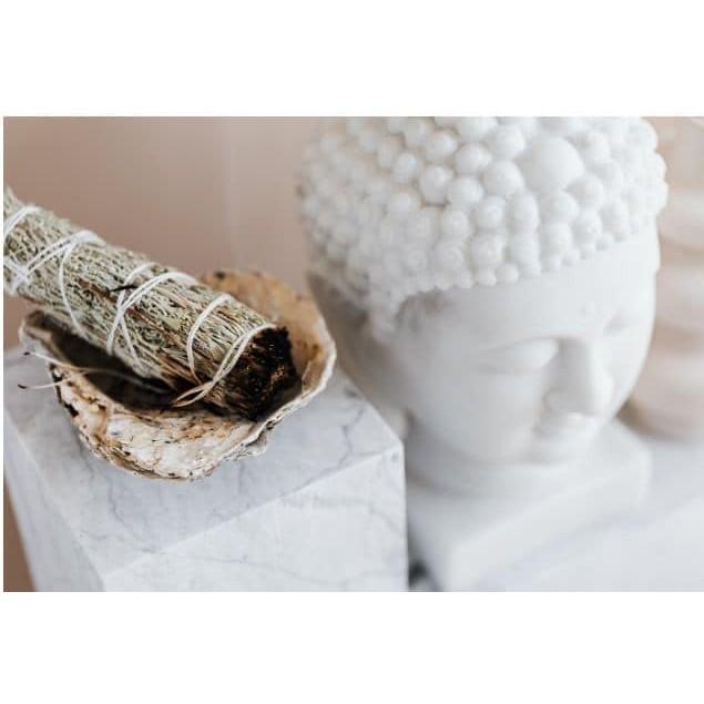 Hình ảnh Sét 1 bó lá xô thơm trắng white sage hoa xanh 10cm và 1 thanh gỗ palo santo trắc xanh 5-6gr Combo06