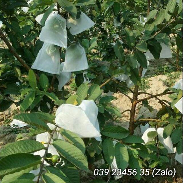 100 CÁI TÚI BAO BỌC ỔI, VÚ SỮA, HỒNG XIÊM, MẬN CHẤT LIỆU VẢI TỐT KÍCH THƯỚC 18*20