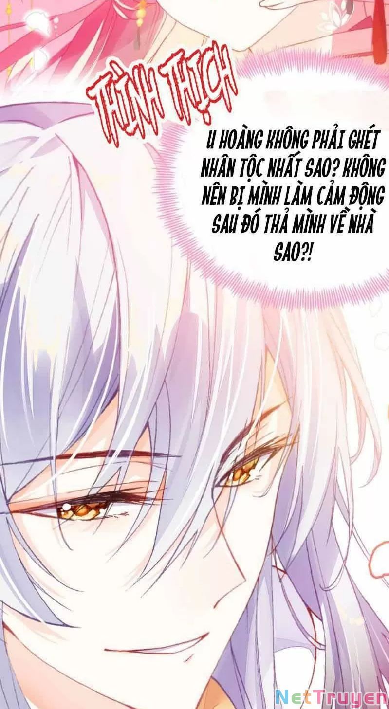 lại bị bệnh chiều chuộng quấn lấy chapter 2 44