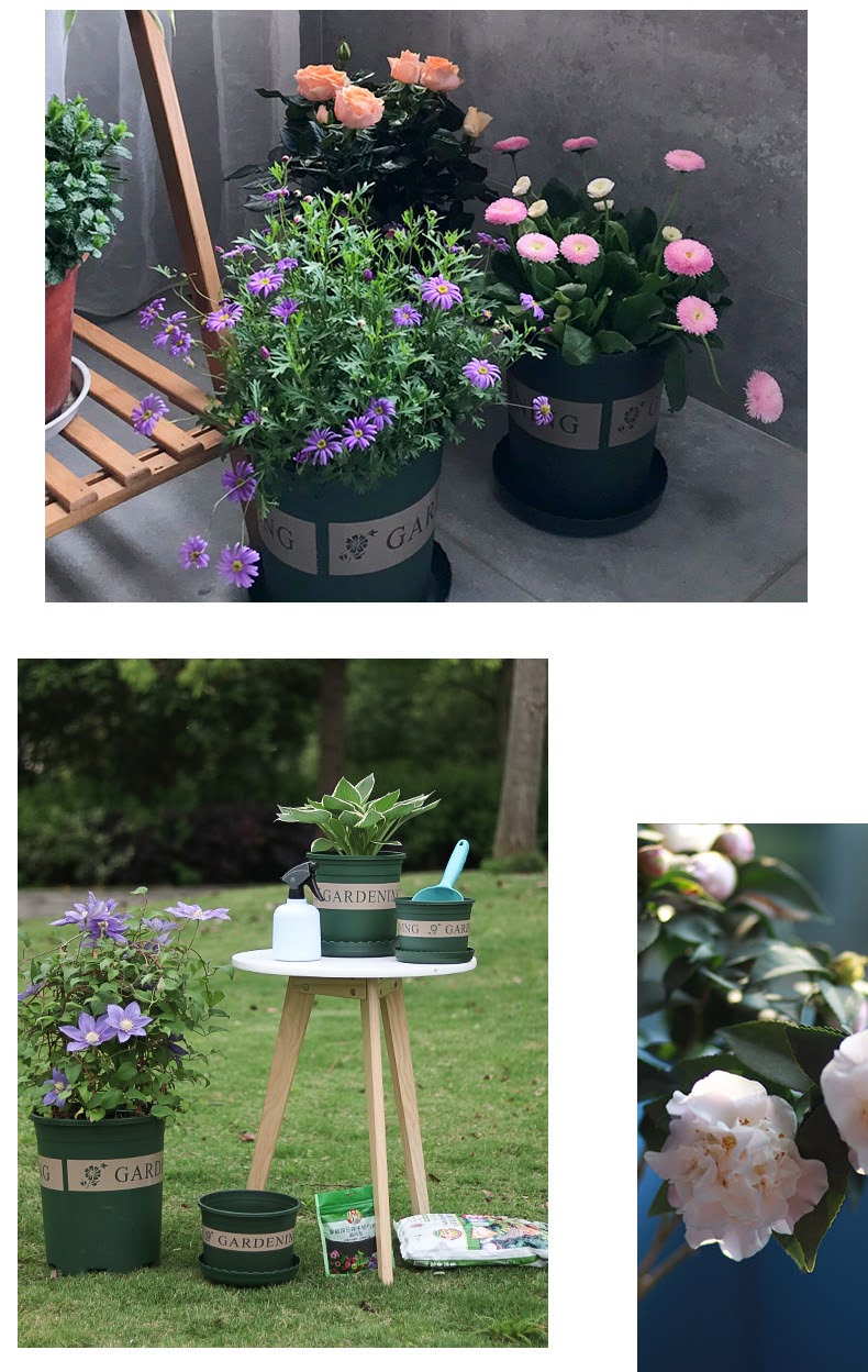 Phân bón hữu cơ vi sinh 4 in 1 - Thần dược cho cây trồng