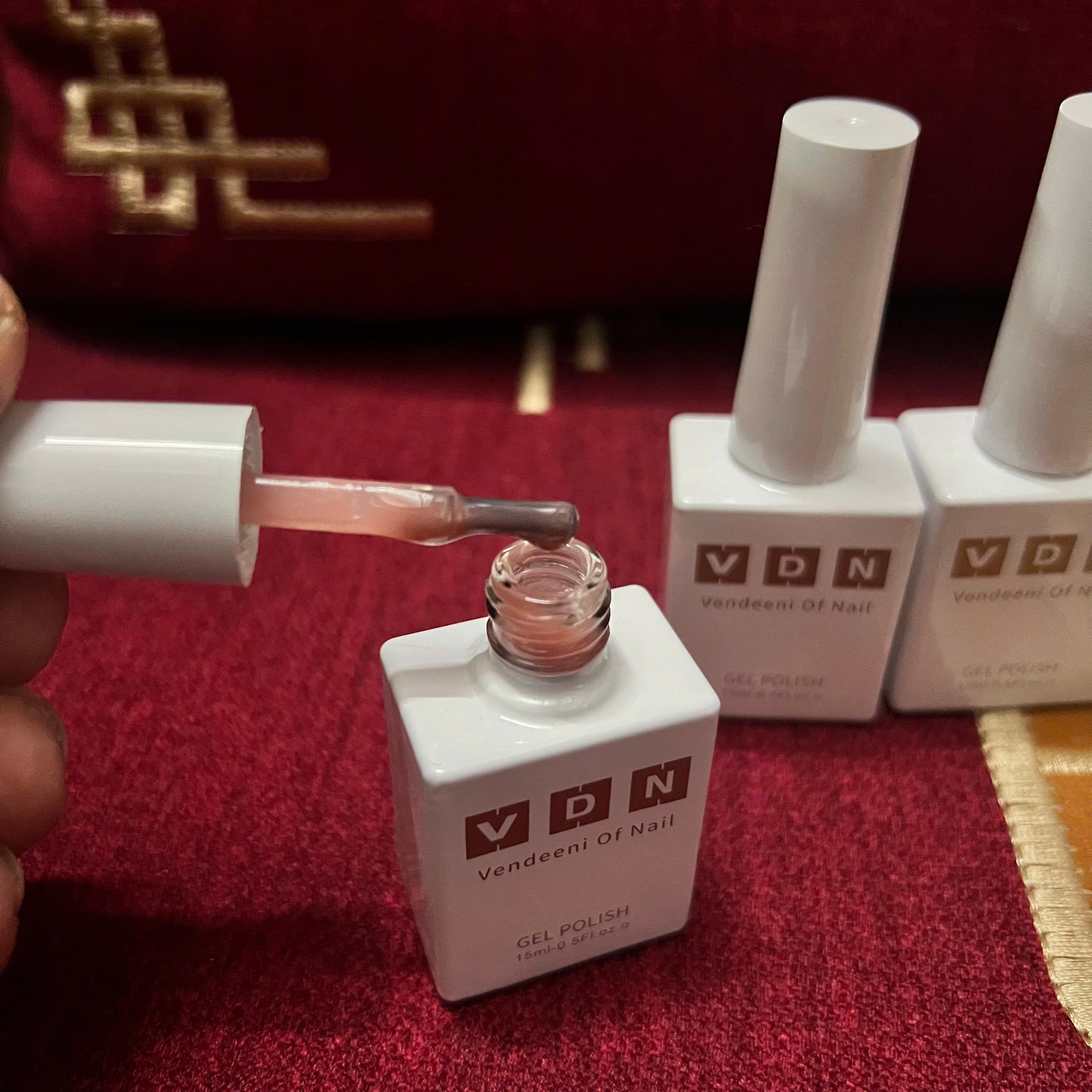 Sơn Thạch Hồng Nude VENDEENI V19-S01 Cao Cấp Chai 15ml Làm Nail, Sơn Gel Tone Hồng Nhạt Trong Suốt Bóng Đẹp Nữ Women