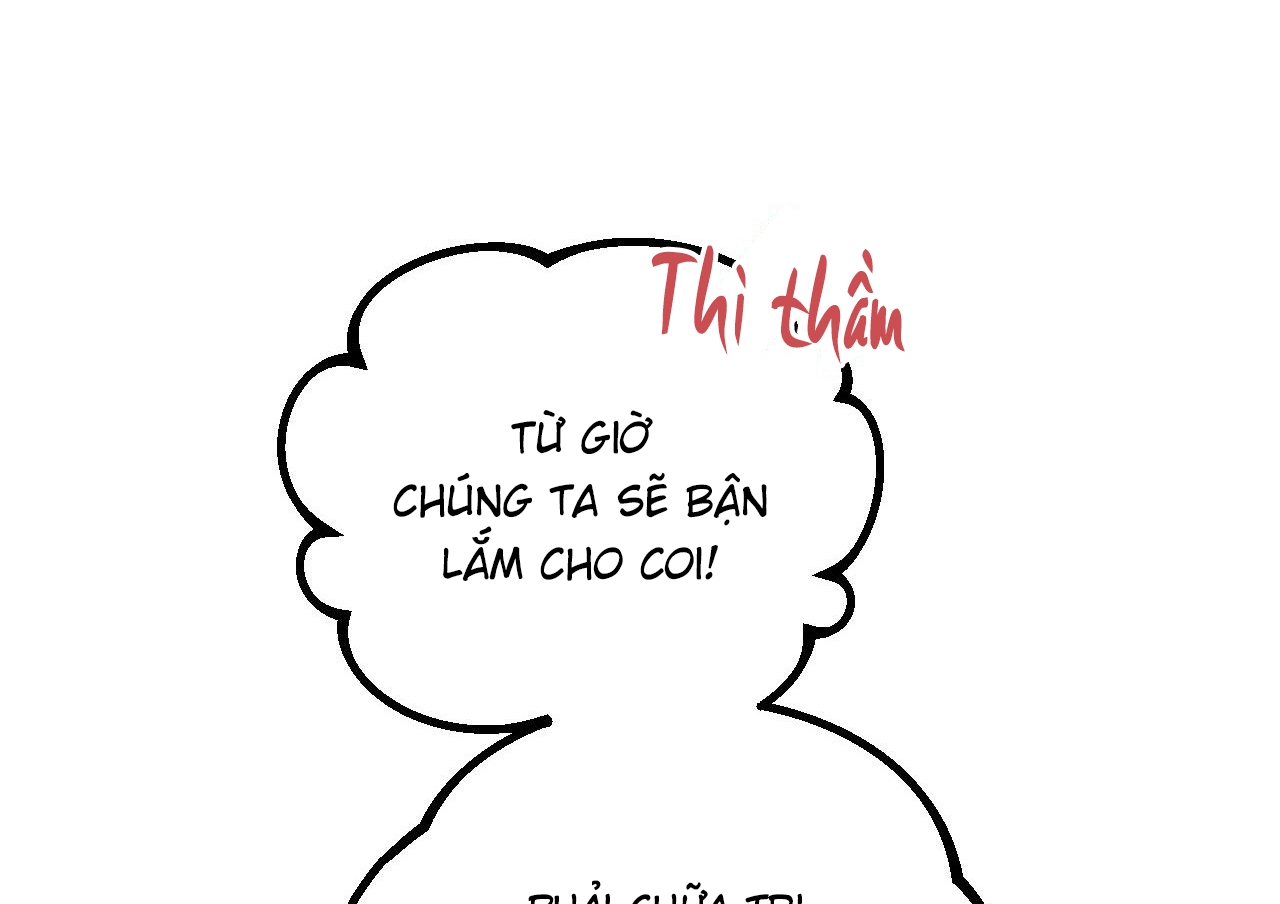 những chú thỏ của hapypy chapter 63 97