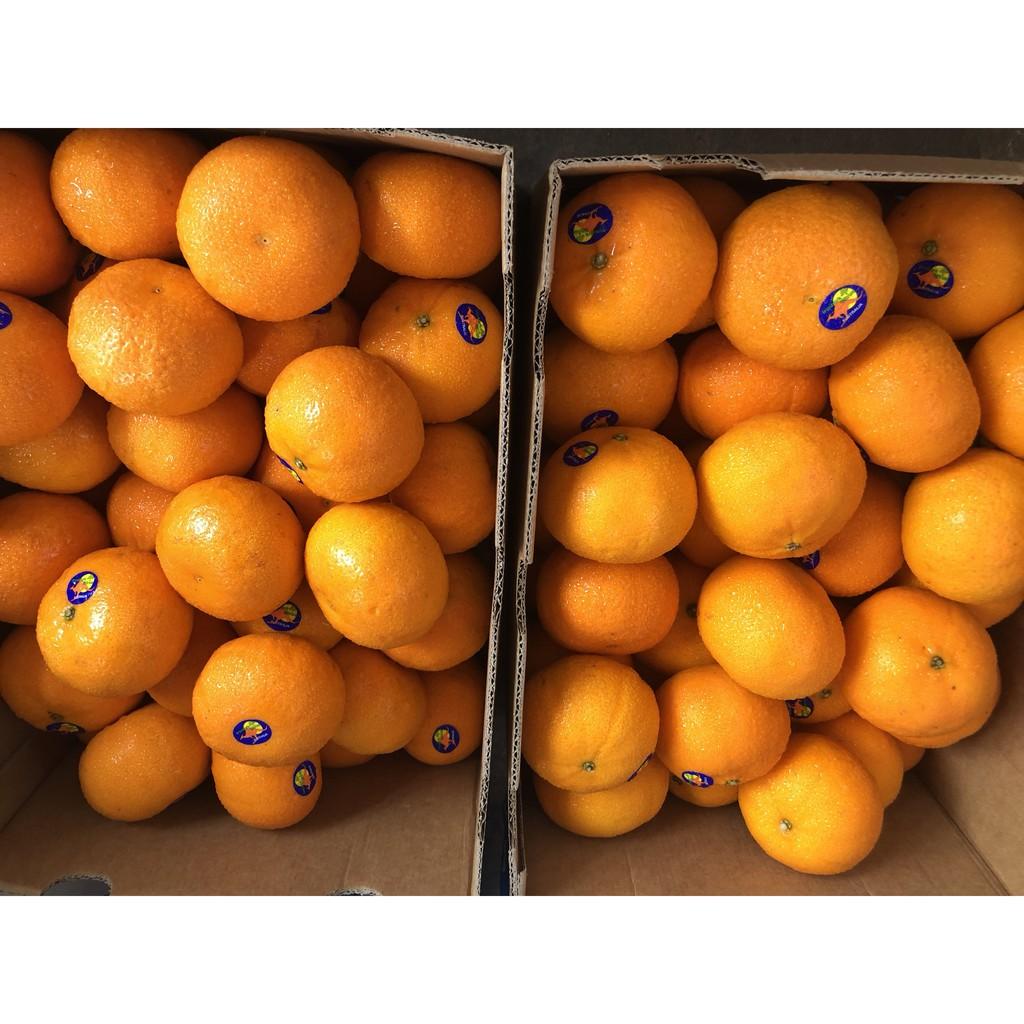 Set 1 kg Quýt Úc ngon ngọt
