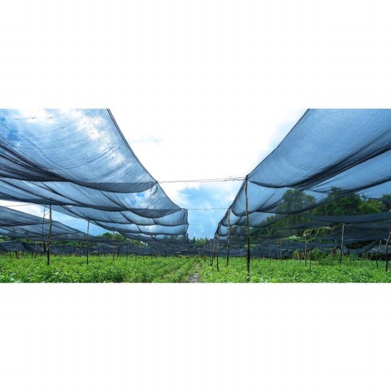 Lưới che nắng thái lan 70% khổ rộng 2m,3m ,4m