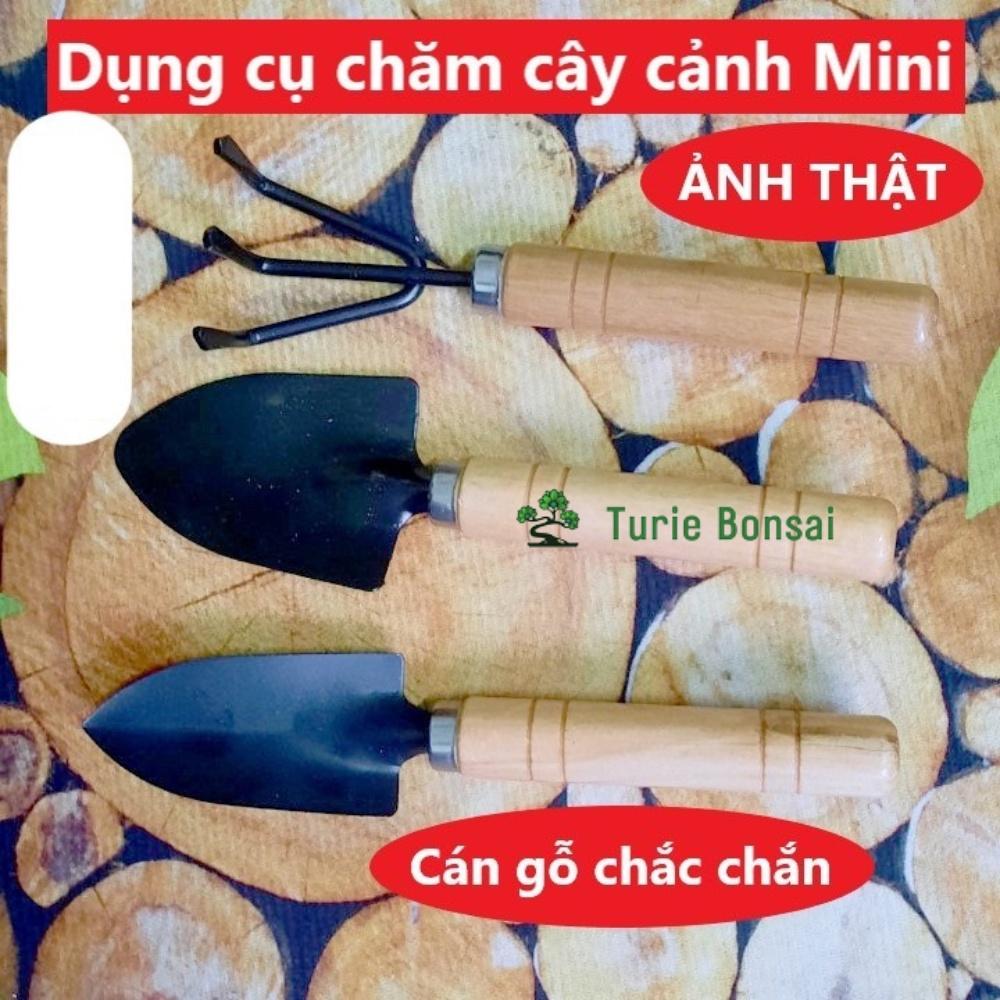 Bộ 03 Dụng cụ làm vườn cán gỗ Xẻng + Bay + Cào đất trồng rau trồng hoa chăm cây cảnh