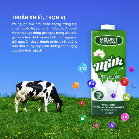 1 Thùng 12 Hộp Sữa Tươi Nguyên Kem Tiệt Trùng Úc Mount Victoria 1 Lít Nhập Khẩu Chính Hãng, Vị Ngon, Dễ Uống, Không Béo