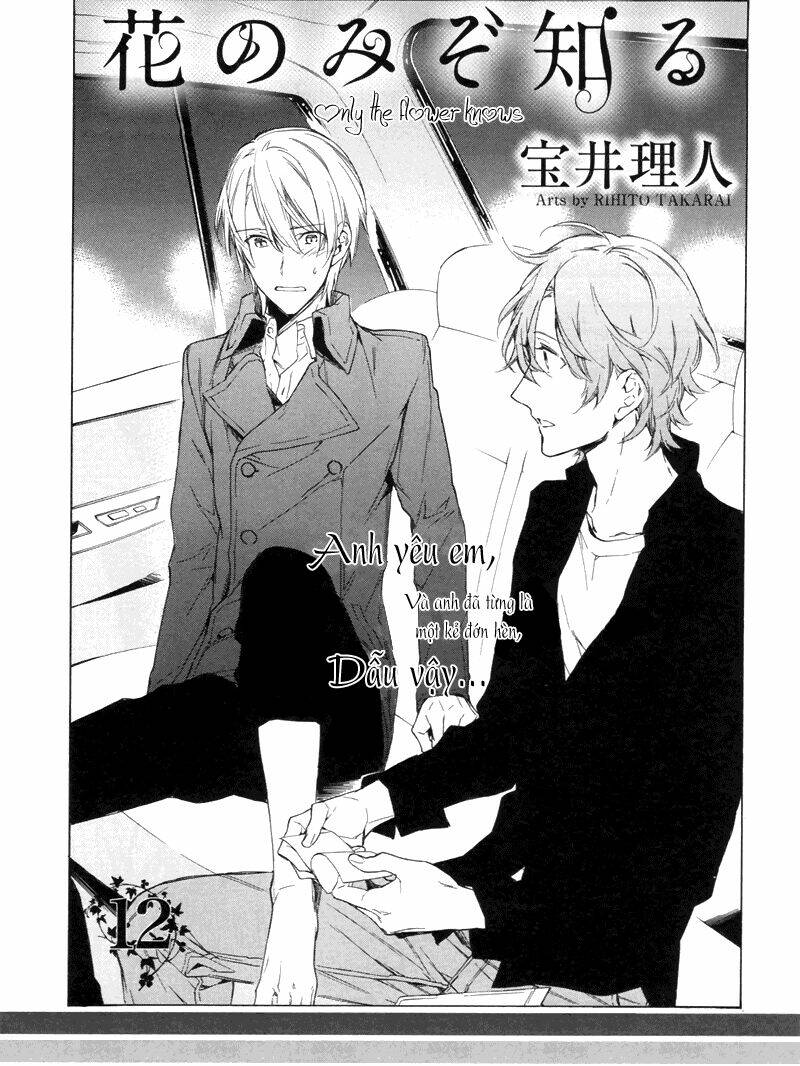 only the flower knows chapter 12 4