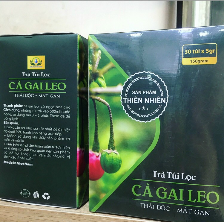 Trà cà gai leo túi lọc cà dây leo của siêu thị thiên nhiên