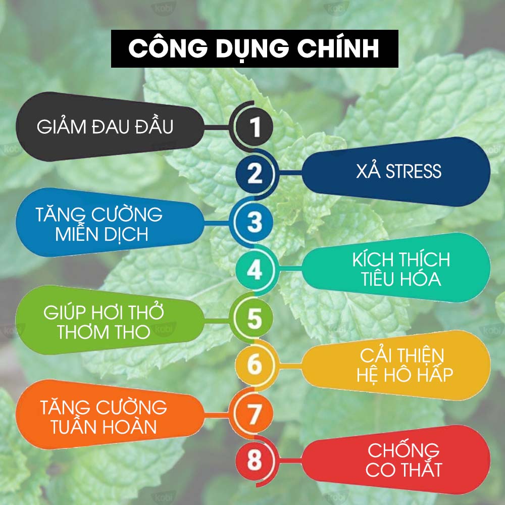 Tinh Dầu Bạc Hà Đuổi Chuột Kobi Nguyên Chất Dùng Với Máy Phun Sương, Máy Khuếch Tán, Máy Xông Tinh Dầu, Giúp Thơm Phòng - Tinh Dầu Thiên Nhiên