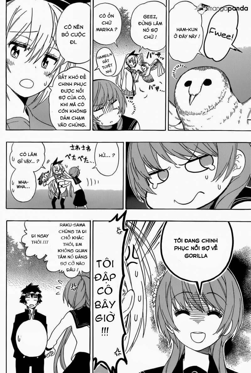nisekoi - tình yêu giả tạo chapter 142 10