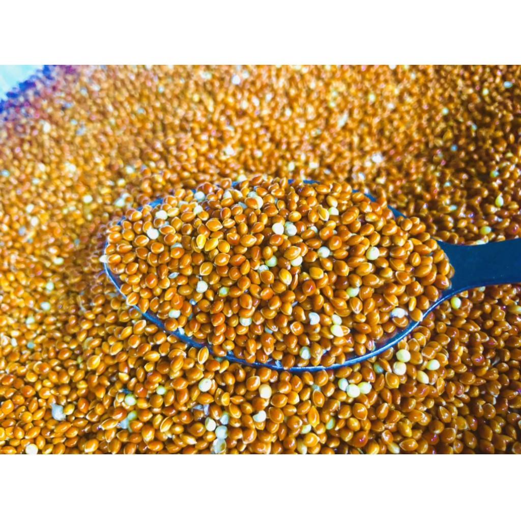 Hạt kê, kê đỏ hạt bóng cho chim cảnh, Vẹt, chim Yến Phụng, chim cu gáy, Hamster và các dòng chim sẻ