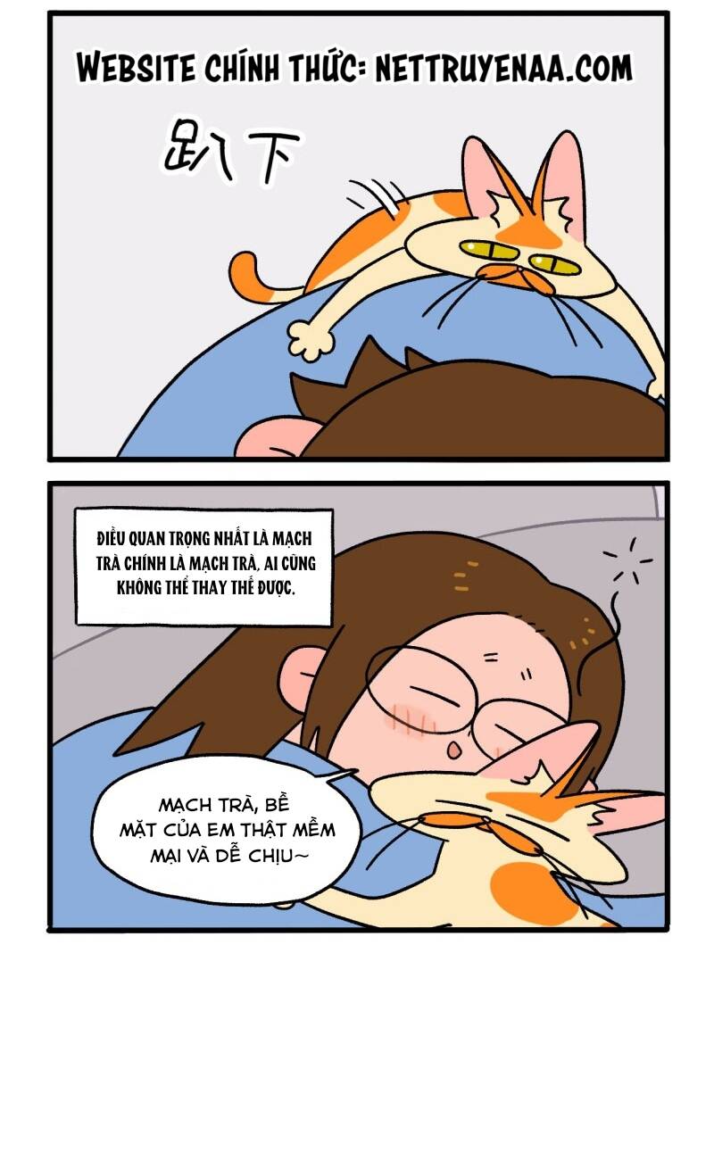 a mãn và mạch trà chapter 2 5
