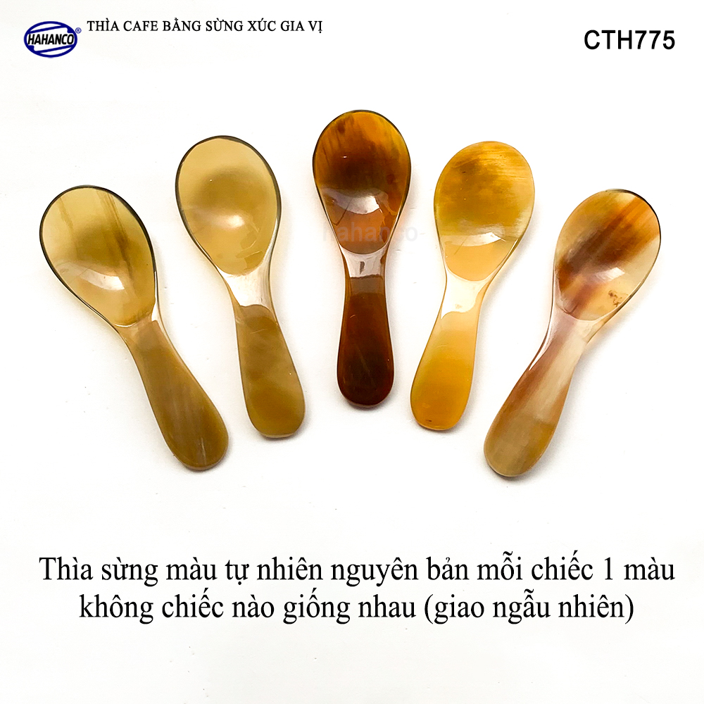 Thìa Xúc Gia Vị Đồ Khô Bằng Sừng Tự Nhiên HAHANCO Size Nhỏ 9.7cm