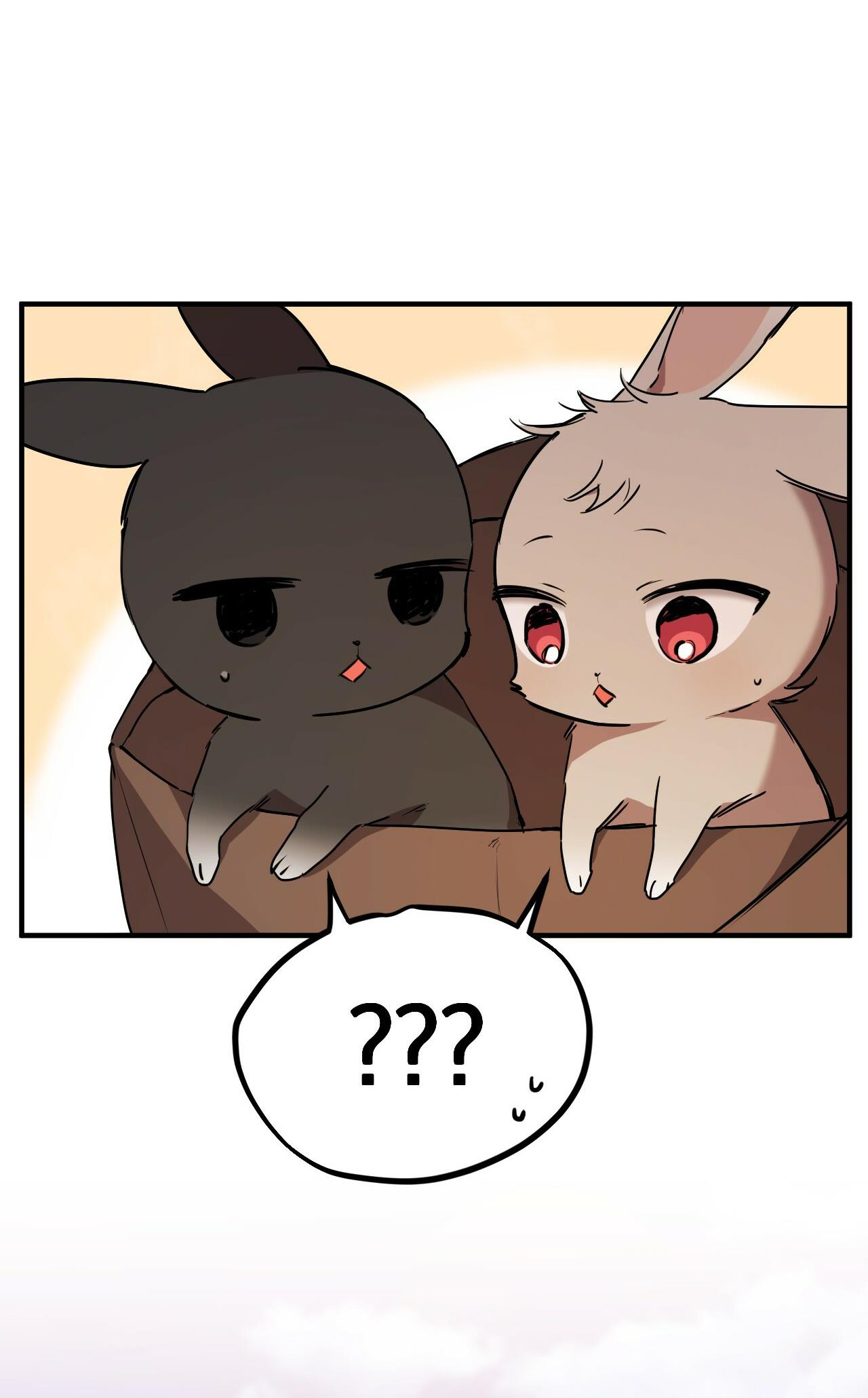 những chú thỏ của hapypy chapter 19 33