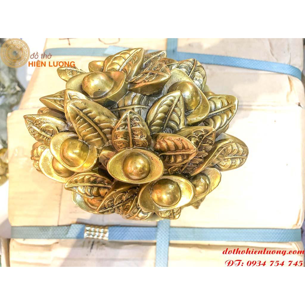 Cây Tiền Tài Lộc Có Lá Bằng Đồng