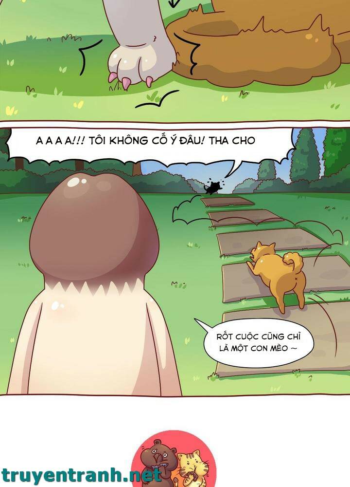 cây nấm kì khả chapter 7 14