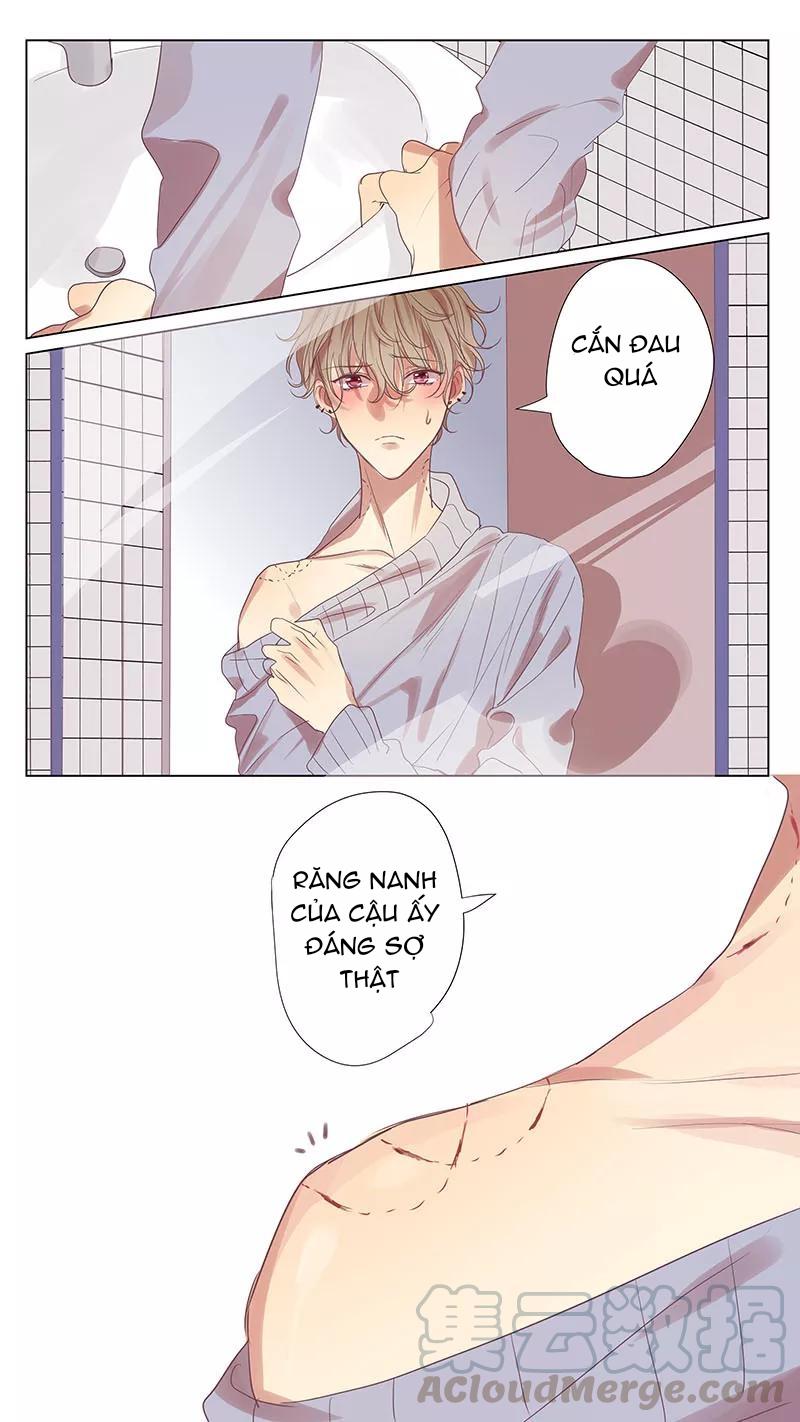 ghét cậu thích cậu chapter 52 1