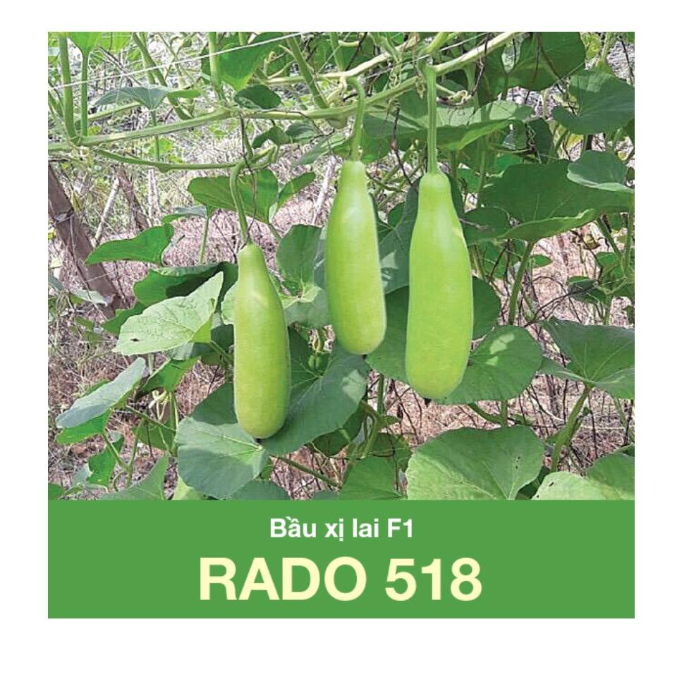Hạt Giống Bầu Xị Lai F1 R A D O 518 gói 2gr Dễ trồng, Trái bóng đẹp, Ăn rất ngon Thu hoạch: 45- 50 ngày