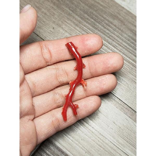 197- Đá San Hô Đỏ