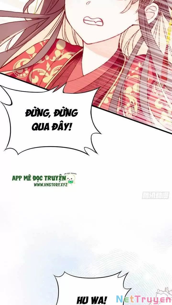 lại bị bệnh chiều chuộng quấn lấy chapter 4 51