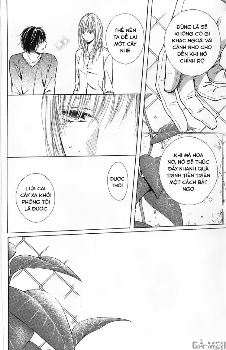 shokubutsu zukan chapter 1 35