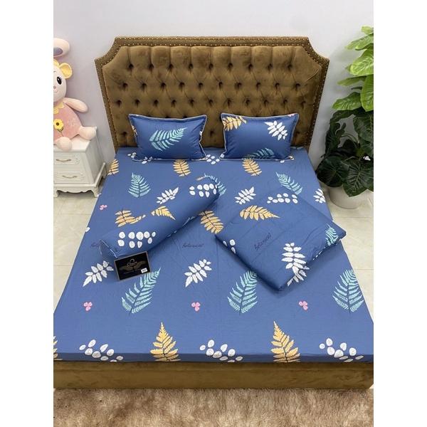 Sét chăn hè 5 món cotton 100%